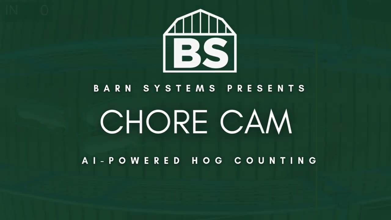 Chore Cam demo video thumbnail: hogs moving through a barn entry point under the vision system